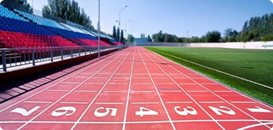 Leica Cyclone Register360 | Leica Cyclone Register360 적용분야  스포츠&엔터테인먼트 이미지