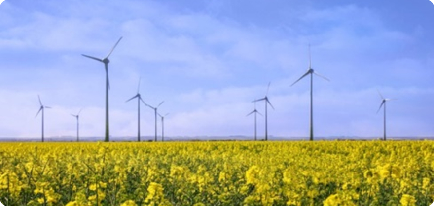 Leica Cyclone Register360 | Leica Cyclone Register360 적용분야 천연자원 이미지